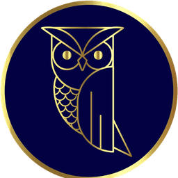 Brave Owl — Art & Fashion Studio logo